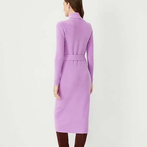NWT Ann Taylor Belted Turtleneck Sweater Dress - Picture 2 of 3